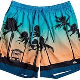 Quiksilver 23451 Erkek Pardsvly17 M Jamv Bsm6 Şort Mayo