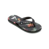 Quiksilver Aqbl100596f Molokai Art Ii Youth Siyah Çocuk Terlik