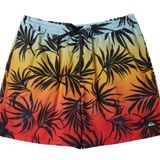 Quiksilver AQYJV03147 Everyday Mix Volley 15 Erkek Şort Mayo