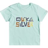 Quiksilver Bigger Picture Boy Erkek Çocuk Renkli Tişört - 6 Yaş - Mint