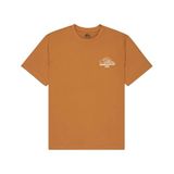 Quiksilver BLISS POINT Erkek Tişört EQYZT08259-QK.3106 Kahverengi