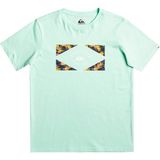 Quiksilver Circledline B Erkek Çocuk Renkli Tişört - Mint - 14 Yaş