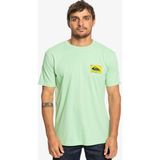 Quiksilver Colourflow Erkek Yeşil Tişört - XS