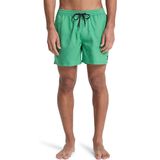Quiksilver DELUXE 15 Yeşil Erkek Şort Mayo