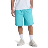 Quiksilver Deniz Şortu, L, EQYWS03915-QK.BJK0QK.BJK0L, Turkuaz, Erkek
