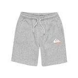 Quiksilver Easy Day Jogger Short Youth Erkek Çocuk Gri Şort