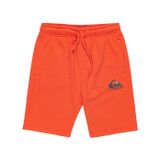 Quiksilver Easy Day Jogger Şort Gençlik Klasik Erkek Çocuk Şortu