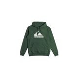 Quiksilver EQYFT04450-GSG0 Yeşil Big Logo Hood Erkek Sweatshirt