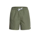 Quiksilver EQYJV03531-GPHH Erkek Şort Mayo