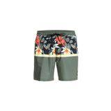 Quiksilver EQYJV03891B Division 17 Yeşil Erkek Deniz Şort