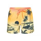Quiksilver Eqyjv03999 Paradise 15 M Jamv Erkek Şort Mayo