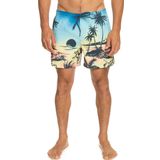 Quiksilver EQYJV03999 Paradise 15 M Volley Gri Erkek Şort