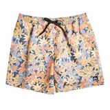 Quiksilver Eqyjv04004-Krd6 Re-Mix Volley 17Nb Erkek Şort Mayo