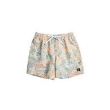 Quiksilver EQYJV04004 Re-Mix Volley 17Nb Erkek Şort Mayo