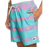 Quiksilver EQYJV04062 Erkek Mayo Şort