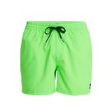 Quiksilver EQYJV04120-GGY0 Everyday Solid Yeşil Erkek Deniz Şortu