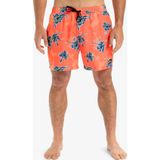 Quiksilver EQYJV04121-FICOB Everyday Straight Volley 15 Erkek Şort Mayo