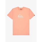 Quiksilver EQYZT08072-MEF0 Ev Comp Logo Ss Erkek Spor Tişört