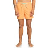 Quiksilver Erkek Behind Waves klasik şort (tekli paket)