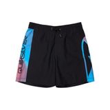 Quiksilver Erkek Çocuk Şort Mayo EVERYDAY HOLMES, 10 Yaş, 5003372697, Siyah, Erkek Çocuklar