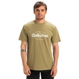 Quiksilver Erkek Ev Shape All Day SS tişört, Aloe, L