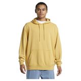 Quiksilver Erkek Kapüşon Yaka Normal Bel Regular Fit Sweatshirt Aqyft03329Salt Water Hoodıe, Hardal, S