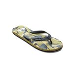 Quiksilver Erkek Molokai Art Parmak Arası Terlik