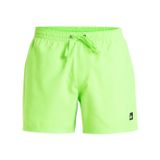 Quiksilver Erkek şort, Yeşil Gecko, XXL