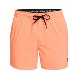 Quiksilver Erkek Surfsilk Volley 16 şort (1'li paket)