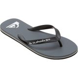 Quiksilver Erkek Terlik Molokai Core Gri