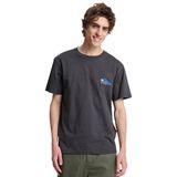 Quiksilver Ev Barrel Parad Erkek Gri Outdoor T-Shirt EQYZT08285-3105