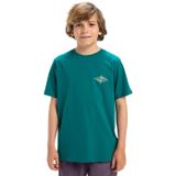 Quiksilver Ev Beach Blast Erkek Çocuk Yeşil Tişört