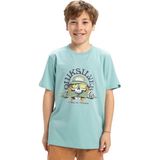 Quiksilver Ev Skull Feast Yth Erkek Çocuk Tişört - 16 Yaş - Turkuaz