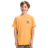 Quiksilver Ev Sunny Palms SS YTH Erkek Çocuk Tişörtü (1'li Paket)
