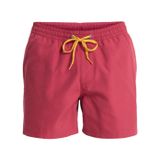 Quiksilver Everyday 15 Deniz Şortu Çok Renkli, S, EQYJV04120-QK.RQZ0QK.RQZ0XS, Çok Renkli, Erkek