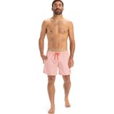Quiksilver Everyday Deluxe 15 Volley Deniz Şortu, Medium, 3616750842813, Pembe, Erkek