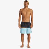 Quiksilver Everyday Erkek Mavi Mayo Şort