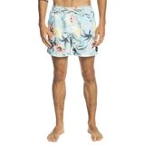 Quiksilver Everyday Garden Path Volley 15 Deniz Şortu, XS, EQYJV03867-KVJ6, Mavi, Erkek