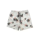 Quiksilver Everyday Mix 17 Erkek Yüzme Deniz Şortu Eqyjv04002