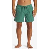 Quiksilver Everyday Surfwash Volley 15 Erkek Deniz Şortu - Yeşil