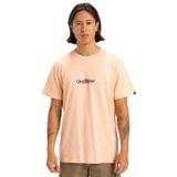 Quiksilver Fineline Ss erkek tişörtü (1'li paket), Şeftalili Parfe, XXL