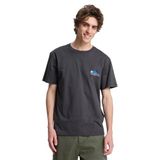 Quiksilver Fruits Tide Erkek Gri T-Shirt