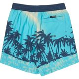 Quiksilver Mavi Erkek Çocuk Desenli Şort Mayo EQBJV03540-EVD Prınted - 8 Yaş