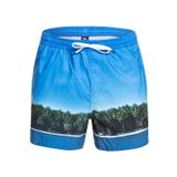 Quiksilver Mavi Erkek Şort Mayo - S
