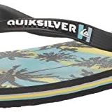 Quiksilver Molokai Art Mavi 3 Erkek Sandalet