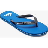 Quiksilver Molokaı Core Erkek Terlik AQYL101325-QK.BYJ1 - Mavi
