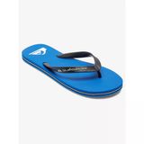 Quiksilver Molokaı Core Erkek Terlik Aqyl101325-Qk.byj1