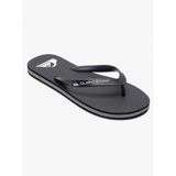 Quiksilver Molokaı Core Erkek Terlik Aqyl101325-Qk.kvj1