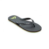 Quiksilver Molokaı Core Erkek Terlik Aqyl101325-Qk.kvj2