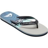 Quiksilver Molokai Panel Erkek Gri Terlik